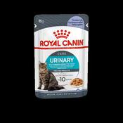 Royal Canin® Adult Cat Pouch Urinary Care In Jelly 85g SINGLE image