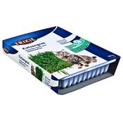 TRIXIE™ Cat Grass Tray 100g