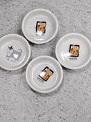 TRIXIE™ Ceramic Bowl 0.2 L/11∅ cm SINGLE
