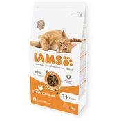 IAMS Dry Adult Food 1+ With Fresh Chicken 2 KG