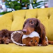 Happy Pet Christmas Pudding Tug of War Rope Dog Toy image