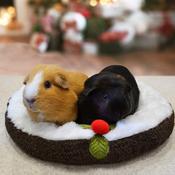 Rosewood Christmas Pudding Small Animal Snuggle Bed
