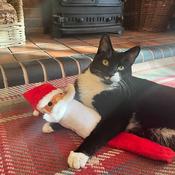 Rosewood Christmas Scott Santa Cat Toy