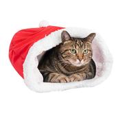 Smart Choice Christmas Santas Hat Crinkle Cat Bag 40x48cm image