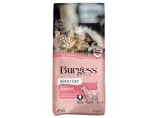 Burgess Supa Adult Cat Dry Food Scottish Salmon 10kg