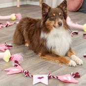Trixie Valentine's Rope Dog Toy "I Love You" 50cm