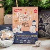 Rosewood Christmas Luxury Deli Advent Calendar For Cats 30g