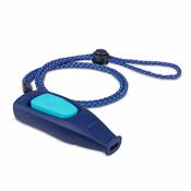 Whistle Coachi