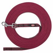 Tracking leash Trixie Red image