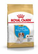 ROYAL CANIN CAVALIER KING CHARLES PUPPY DRY FOOD image