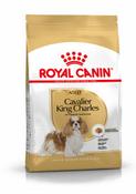 ROYAL CANIN CAVALIER KING CHARLES ADULT DRY DOG FOOD 1.5KG image