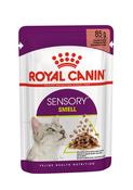 ROYAL CANIN® Sensory Smell (in gravy) Adult Wet Cat Food  85g image