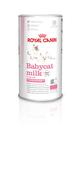 ROYAL CANIN® Babycat Milk Wet Kitten Food 300g image