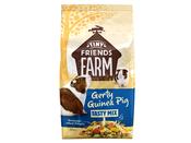 TFF GERTY GUINEA PIG 850GM image