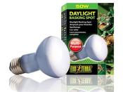 EXO TERRA DAYLIGHT BASKING SPOT 50W image