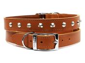 ANCOL SEWN STUDDED COLLAR TAN 14" S2 image