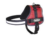 NOBBY HARNESS LARGE 70-90 CM image