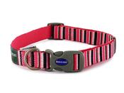 ANCOL HOT PINK STRIPE ADJ COLLAR SIZE 1-2 image