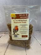 Select Seed Dried Mealworms image