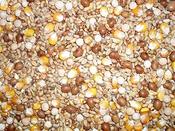 PIGEON MIX ( WEIGHED BAGS ) image