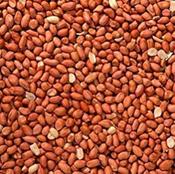 PEANUTS ( WEIGHED) image