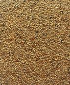 BUDGIE SEED ( WEIGHED BAGS ) image