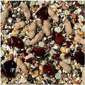 PARROT MIX ( WEIGHED BAGS ) image
