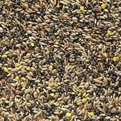 CANARY SEED ( WEIGHED BAGS ) image