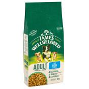 James Wellbeloved Adult Fish &amp; Rice 15kg image