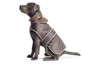 ANCOL STORMGUARD COAT CHOC ( 6 SIZES ) image