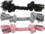 TRIXIE PLAYING ROPE image