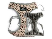 SOHO REVERSIBLE HARNESS DALMA/ZIGZAG image