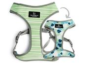 SOHO REVERSIBLE HARNESS STRIPES/LEAFS image