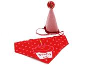PAWTY TIME BIRTHDAY HAT &amp; BANDANA PINK image