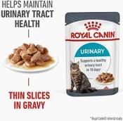ROYAL CANIN Urinary Care in Jelly image