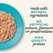 APPLAWS KITTEN TIN TUNA 70G image