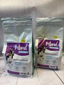 PETLAND GRAIN FREE GASTROINTESTINAL DRY DOG FOOD image