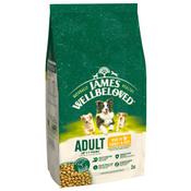 James Wellbeloved Adult Turkey &amp; Rice DRY DOG FOOD image