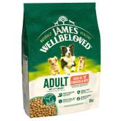 JAMES WELLBELOVED Dog Adult Chicken &amp; Rice image