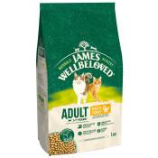 James Wellbeloved CAT Adult Turkey 1.5kg DRY FOOD image