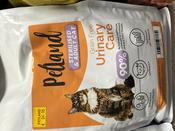 PETLAND URINARY DRY CAT FOOD image