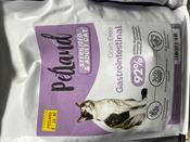 PETLAND GRAIN FREE GASTROINTESTINAL DRY CAT FOOD image
