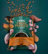 TRIBAL DOG Cold Pressed Adult Turkey image