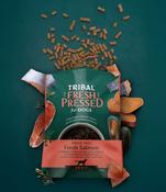 TRIBAL DOG Cold Pressed Adult Salmon image