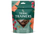 TRIBAL TRAINERS TROUT &amp; RASPBERRY image