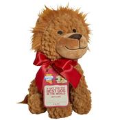 Armitage Good Boy Gift Lion Christmas Dog Toy 25cm image