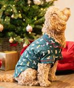 CUPID &amp; COMET JOULES GREEN FESTIVE PRINT DOG PJS