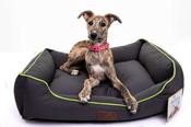 Beddies Grey Waterproof Dog Bed image