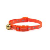 Hi Vis Cat Collar - Orange image
