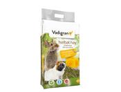 Vadigran Herbal Dandelion Hay 500G image